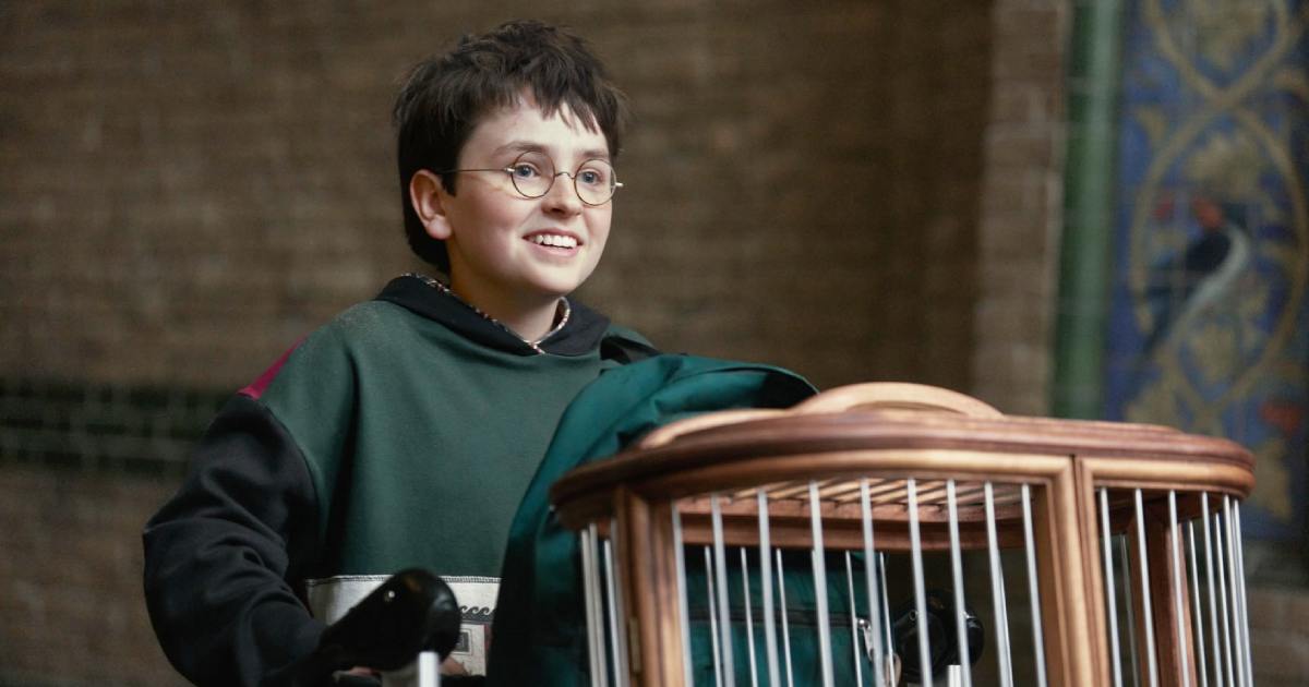 How Monica Potter Built Her Fortune: From Screen to Entrepreneur